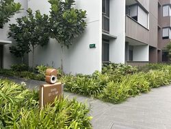 Pasir Ris 8 (D18), Apartment #533631251